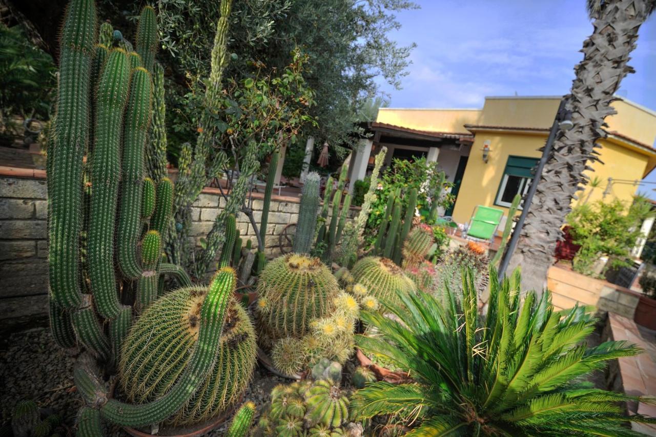 Donna Caterina House, Holiday Villa Pietraperzia Extérieur photo